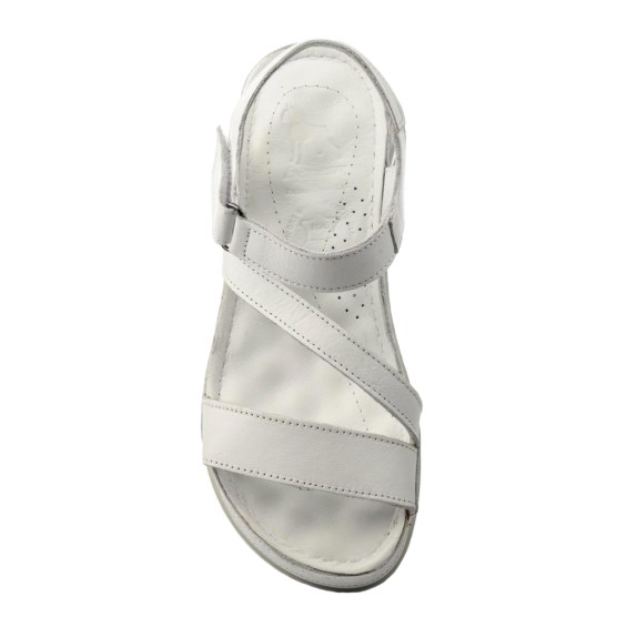 BOXER SHOES 98422