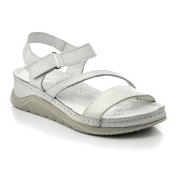 BOXER SHOES 98422 2