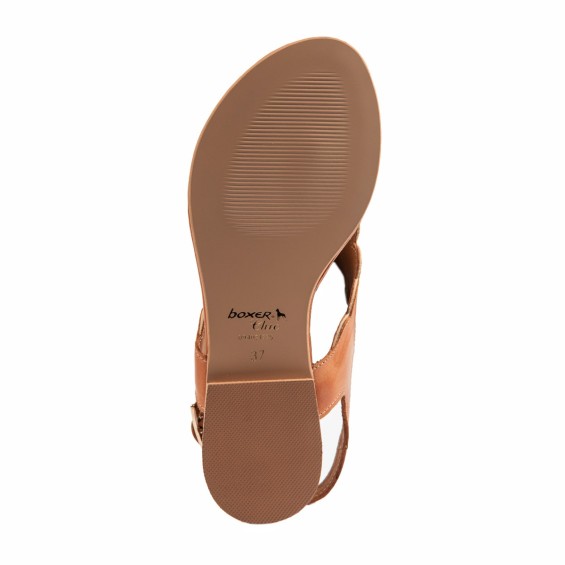 BOXER Shoes 59131